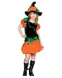 TEEN Pumpkin Witch Costume (Boots not included)