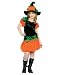TEEN Pumpkin Witch Costume (Boots not included)