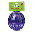 Premier Busy Buddy Kibble Nibble Dog Toy