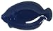 Blue Fish Ceramic Pottery Flounder Medium Plate Set of Four 10" x 5 3/4" x 1 1/4"
