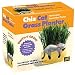 Chia Cat Grass Planter