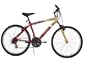 Best Bikes NFL San Francisco 49ers 26-Inch Mountain Adult Bike (88826-6027-8009)