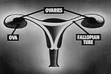 Adolescence, Human Anatomy, and Sex Ed: Physical Aspects of Puberty DVD (1953)
