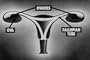 Adolescence, Human Anatomy, and Sex Ed: Physical Aspects of Puberty DVD (1953)