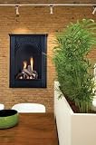 20 in. Parlor Vent Free Fireplace System with Logs Liquid Propane