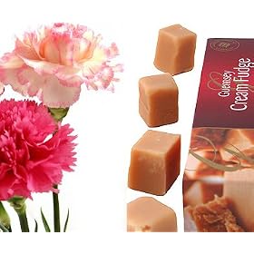Carnations - 12 Assorted Carnation Flowers with Fudge