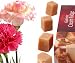Carnations - 12 Assorted Carnation Flowers with Fudge