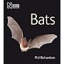 Bats (Life)