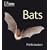 Bats (Life)