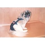 Joybies Patriotic Denim Piddle Pants(tm) for X Small Female Dog (Measuring 11-13 from Collar to Base of Tail)