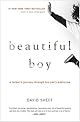 Beautiful Boy: A Father's Journey Through His Son's Crystal Meth Addiction