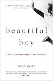 Beautiful Boy: A Father's Journey Through His Son's Crystal Meth Addiction