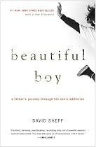 Beautiful Boy: A Father's Journey Through His Son's Addiction