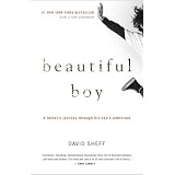 Beautiful Boy: A Father's Journey Through His Son's Addiction ~ David Sheff