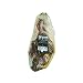 Jamon Iberico de Bellota, Pata Negra, Whole Boneless Ham - 8 to 14 lbs