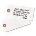 Avery Tyvek Tags, Unstrung, 4.75 x 2.375-Inches, Pack of 1000 (12445)
