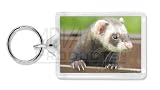 Ferret Print Animal Gifts Photo Keyring