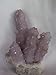 Very Rare Amethyst Cactus Spirit Quartz Crystal Cluster, 8.17.4