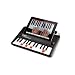 ION Audio PIANO APPRENTICE 25-note Lighted Keyboard for iPad, iPod and iPhone