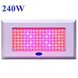 Dill 240W Red/Blue LED Hydroponic Plant Grow Light Panel Gardening Supplies Indoor