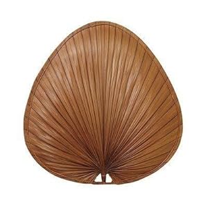 Fanimation Fan Blade Set ISP4RB Five 22" Narrow Oval Natural Palm Leaf Red/Brown Blades