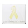Spinal Cord Injury Awareness Ribbon Mouse Pad