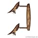Paulmann Spotlights Petunia Balken 2x40W E14 Rusty Iron 230V