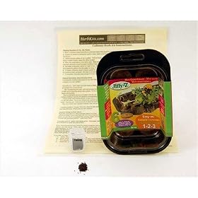 Catnip Mini Herb Garden Kit - Includes Everything You Need To Grow Catnip Herbs - Your... by 
