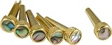 D'Andrea Tone Pins Brass Bridge Pin Set, Abalone