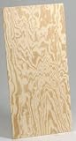 1/4x2x4 Plywood Panel