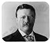 Theodore Roosevelt Mouse Pad