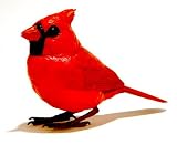 Buy Breezy Singer Bird - Cardinal by Takara