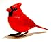 Breezy Singer Bird - Cardinal