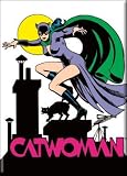 DC Comics Batman Catwoman On Rooftop Magnet 26169DC