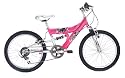 Raleigh Triumph Storm 20" Wheel 12" Frame 6 Speed Girls Bike