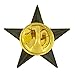 3D 5 Point Bronze Star Lapel Pin