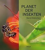 Planet der Insekten: Von duftenden Ameisen, betr�gerischen Leuchtk�fern und gespenstischen Faltern - Marcel Robischon