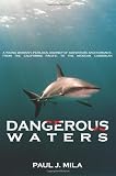 Dangerous Waters: A Young Woman s Perilous Journey of Adventure and Romance