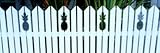 IMAGE OF Fence with Pinapples, Key West, Florida Keys, Florida, USA Photographic Poster Print by Terry Eggers, 40x120