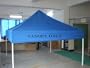 10ft X 10ft Replacement Canopy Royal (Top Only)