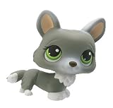 Hasbro - Poupees - Petshop Single B - Le renard gris avec son os