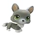 Hasbro - Poup�es - Petshop Single B - Le renard gris avec son os