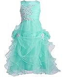 Fashion Plaza Girl's Ruffled Applique Flower Girl Communion Pageant Dress K0073
