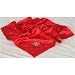 Maryland Terps NCAA Baby Blanket
