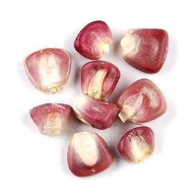 Corn, Red - 10 Lb Bag / Box Each