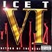 VI: Return of the Real