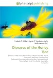 Diseases of the Honey Bee: Diseases of the Honey Bee. Colony Collapse Disorder, Varroa Destructor, Waxworm, Paenibacillus, Deformed Wing Virus, Africanized ... Small Hive Beetle, Aspergillus Fumigatus