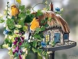 SunsOut Puzzle - Dinner Dates - Birds