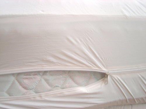 Deluxe Vinyl Mattress Protector with Zipper - 36