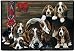 Decorative Pet Mat - 18.0 x 27.0 - Basset Hound Family